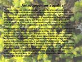 Lietuvos augalijos įvairovė 12 puslapis