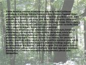 Lietuvos augalijos įvairovė 4 puslapis