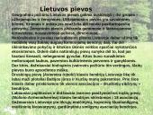 Lietuvos augalijos įvairovė 6 puslapis