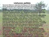 Lietuvos augalijos įvairovė 8 puslapis