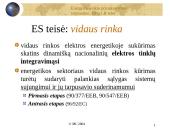 Lietuvos energetikos ūkio privatizavimas: tarptautinė, Europos sąjungos ir Lietuvos respublikos teisė 12 puslapis