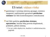 Lietuvos energetikos ūkio privatizavimas: tarptautinė, Europos sąjungos ir Lietuvos respublikos teisė 13 puslapis