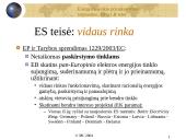 Lietuvos energetikos ūkio privatizavimas: tarptautinė, Europos sąjungos ir Lietuvos respublikos teisė 14 puslapis