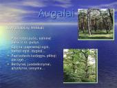Lietuvos pajūris 5 puslapis