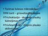 Menkės sindromas 11 puslapis
