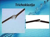 Menkės sindromas 13 puslapis