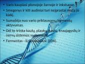 Menkės sindromas 6 puslapis