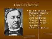 Mokslo ir technikos pažanga XIX amžius - XX amžiaus pradžia 2 puslapis