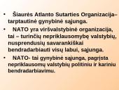 NATO organizacija 2 puslapis