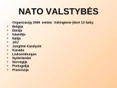 NATO organizacija 4 puslapis