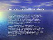 Nuovargis, jo prigimtis, rūšys, diagnostika 3 puslapis