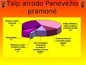 Panevėžiui 500 metų 9 puslapis