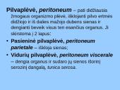 Peritonitas 2 puslapis