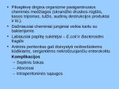Peritonitas 14 puslapis