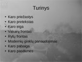 Pirmasis pasaulinis karas - priežastys, eiga bei pasekmės 2 puslapis