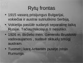 Pirmasis pasaulinis karas - priežastys, eiga bei pasekmės 11 puslapis