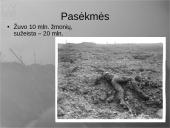 Pirmasis pasaulinis karas - priežastys, eiga bei pasekmės 14 puslapis