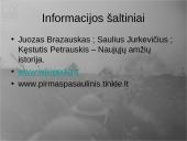 Pirmasis pasaulinis karas - priežastys, eiga bei pasekmės 17 puslapis