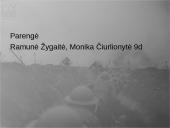 Pirmasis pasaulinis karas - priežastys, eiga bei pasekmės 18 puslapis