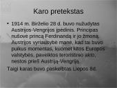 Pirmasis pasaulinis karas - priežastys, eiga bei pasekmės 4 puslapis