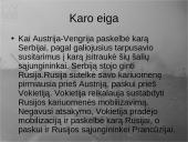 Pirmasis pasaulinis karas - priežastys, eiga bei pasekmės 5 puslapis