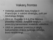 Pirmasis pasaulinis karas - priežastys, eiga bei pasekmės 7 puslapis