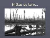Pirmasis pasaulinis karas - priežastys, eiga, pabaiga bei rezultatai 14 puslapis