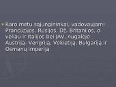 Pirmasis pasaulinis karas - priežastys, eiga, pabaiga bei rezultatai 3 puslapis