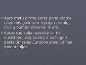 Pirmasis pasaulinis karas - priežastys, eiga, pabaiga bei rezultatai 4 puslapis