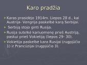 Pirmasis pasaulinis karas - priežastys, eiga, pabaiga bei rezultatai 6 puslapis