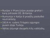 Pirmasis pasaulinis karas - priežastys, eiga, pabaiga bei rezultatai 7 puslapis