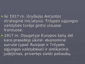 Pirmasis pasaulinis karas - priežastys, eiga, pabaiga bei rezultatai 10 puslapis