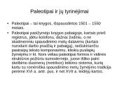 Poligrafinės spaudos išradimas ir raida 14 puslapis