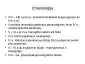 Poligrafinės spaudos išradimas ir raida 17 puslapis