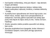 Poligrafinės spaudos išradimas ir raida 6 puslapis