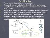 Poliovirus hominis (Žmogaus poliovirusas) 11 puslapis