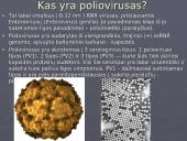 Poliovirus hominis (Žmogaus poliovirusas) 4 puslapis