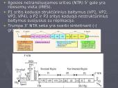 Poliovirus hominis (Žmogaus poliovirusas) 8 puslapis