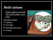 Lankytinos vietos Prancūzijoje 8 puslapis