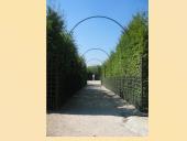 Prancūzijos Versalio rūmai Karaliaus Liudviko XIV laikais 17 puslapis