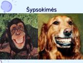 Priekinių dantų padengimas kompozicinėmis plombinėmis medžiagomis 14 puslapis