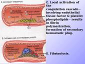 Procoagulation factors 4 puslapis