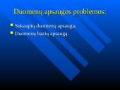 Programinės įrangos ir duomenų teisinis apsaugojimas 12 puslapis
