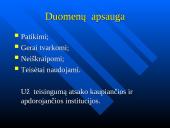 Programinės įrangos ir duomenų teisinis apsaugojimas 13 puslapis