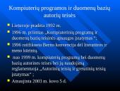 Programinės įrangos ir duomenų teisinis apsaugojimas 3 puslapis
