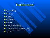Programinės įrangos ir duomenų teisinis apsaugojimas 6 puslapis
