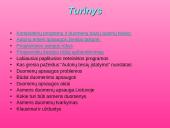 Kompiuterinės programinės įrangos ir duomenų teisinė apsauga 2 puslapis