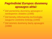 Kompiuterinės programinės įrangos ir duomenų teisinė apsauga 13 puslapis