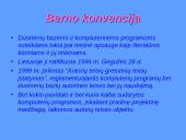 Kompiuterinės programinės įrangos ir duomenų teisinė apsauga 4 puslapis