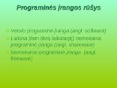 Kompiuterinės programinės įrangos ir duomenų teisinė apsauga 6 puslapis